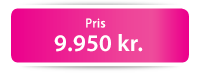 Pris fra 4.950 kr.